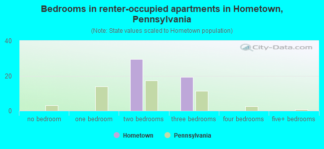 Bedrooms in renter-occupied apartments in Hometown, Pennsylvania