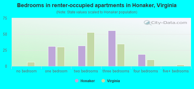 Bedrooms in renter-occupied apartments in Honaker, Virginia
