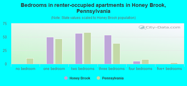Bedrooms in renter-occupied apartments in Honey Brook, Pennsylvania