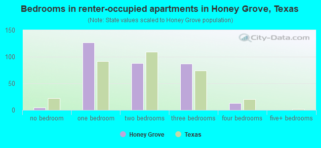 Bedrooms in renter-occupied apartments in Honey Grove, Texas