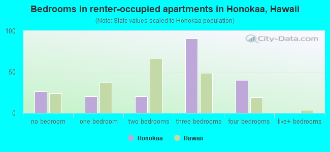 Bedrooms in renter-occupied apartments in Honokaa, Hawaii