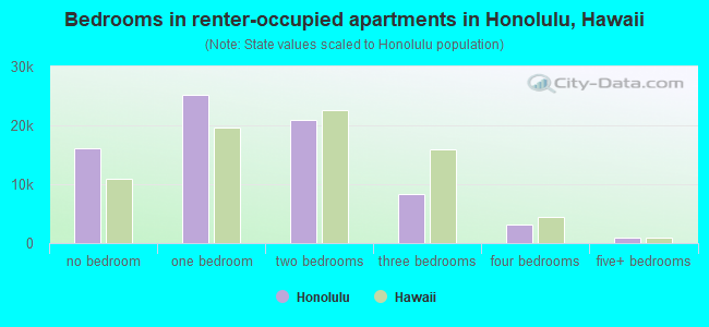 Bedrooms in renter-occupied apartments in Honolulu, Hawaii