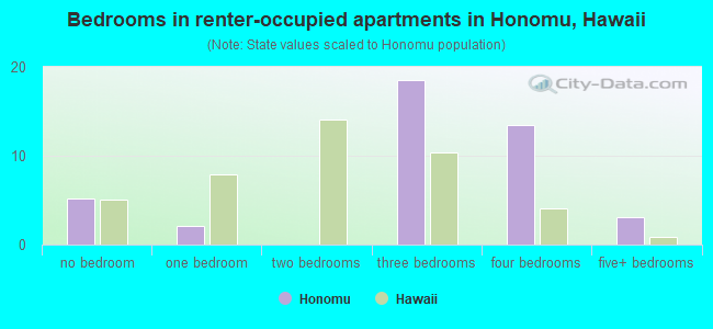 Bedrooms in renter-occupied apartments in Honomu, Hawaii
