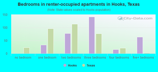 Bedrooms in renter-occupied apartments in Hooks, Texas