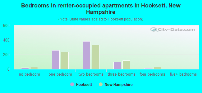 Bedrooms in renter-occupied apartments in Hooksett, New Hampshire