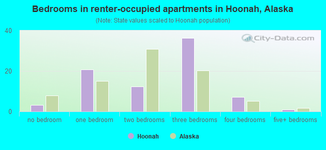 Bedrooms in renter-occupied apartments in Hoonah, Alaska