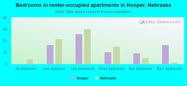 Bedrooms in renter-occupied apartments in Hooper, Nebraska