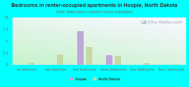 Bedrooms in renter-occupied apartments in Hoople, North Dakota