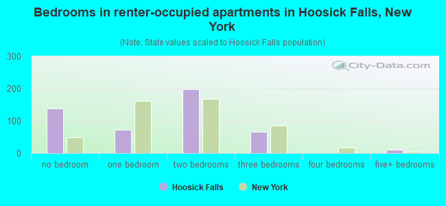 Bedrooms in renter-occupied apartments in Hoosick Falls, New York