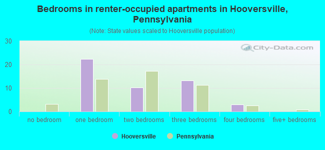 Bedrooms in renter-occupied apartments in Hooversville, Pennsylvania