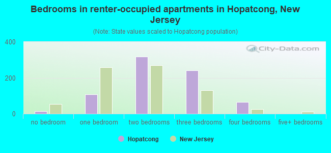 Bedrooms in renter-occupied apartments in Hopatcong, New Jersey