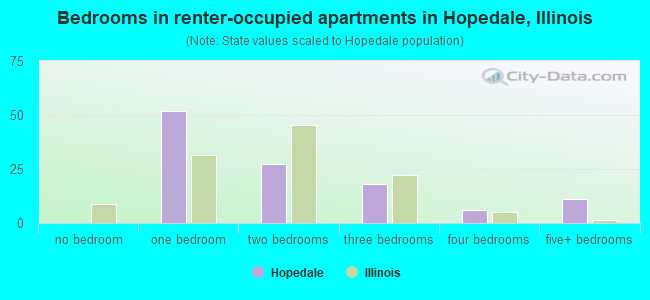 Bedrooms in renter-occupied apartments in Hopedale, Illinois