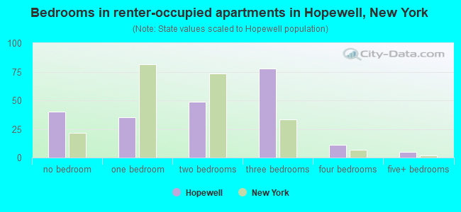 Bedrooms in renter-occupied apartments in Hopewell, New York