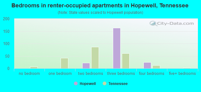 Bedrooms in renter-occupied apartments in Hopewell, Tennessee