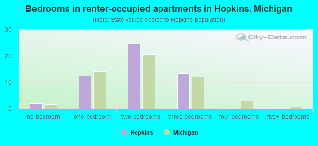 Bedrooms in renter-occupied apartments in Hopkins, Michigan