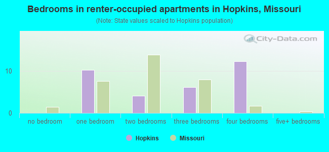 Bedrooms in renter-occupied apartments in Hopkins, Missouri