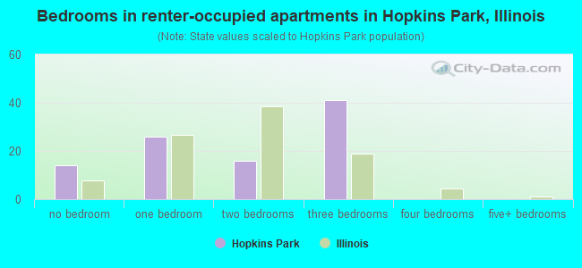 Bedrooms in renter-occupied apartments in Hopkins Park, Illinois