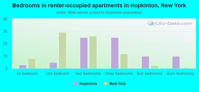 Bedrooms in renter-occupied apartments in Hopkinton, New York