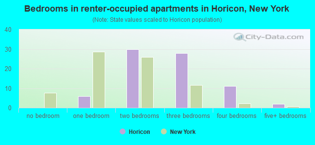 Bedrooms in renter-occupied apartments in Horicon, New York