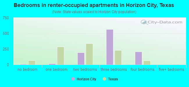 Bedrooms in renter-occupied apartments in Horizon City, Texas
