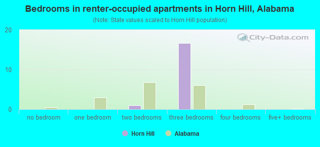 Bedrooms in renter-occupied apartments in Horn Hill, Alabama