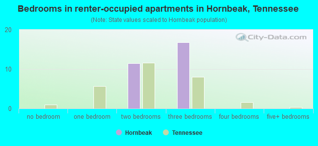 Bedrooms in renter-occupied apartments in Hornbeak, Tennessee