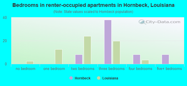 Bedrooms in renter-occupied apartments in Hornbeck, Louisiana