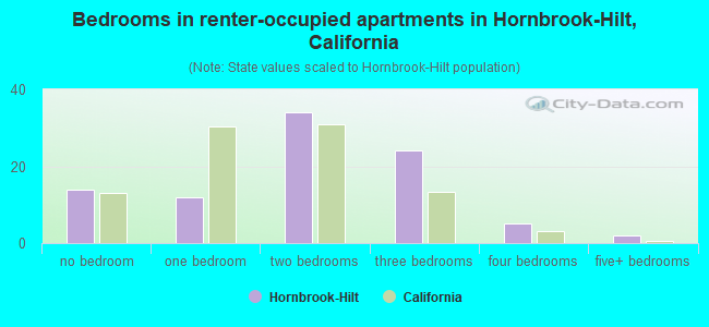 Bedrooms in renter-occupied apartments in Hornbrook-Hilt, California