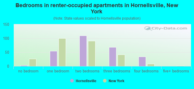 Bedrooms in renter-occupied apartments in Hornellsville, New York