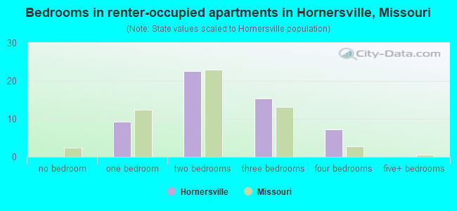 Bedrooms in renter-occupied apartments in Hornersville, Missouri