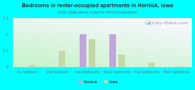 Bedrooms in renter-occupied apartments in Hornick, Iowa