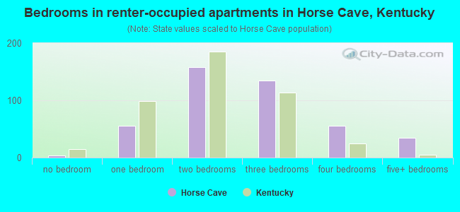 Bedrooms in renter-occupied apartments in Horse Cave, Kentucky