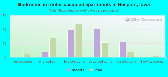 Bedrooms in renter-occupied apartments in Hospers, Iowa