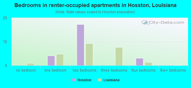 Bedrooms in renter-occupied apartments in Hosston, Louisiana