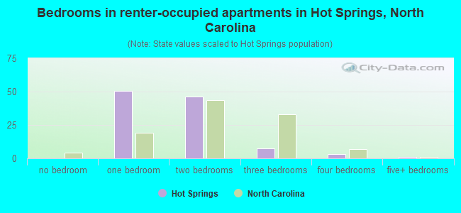 Bedrooms in renter-occupied apartments in Hot Springs, North Carolina