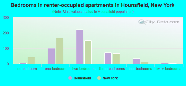 Bedrooms in renter-occupied apartments in Hounsfield, New York