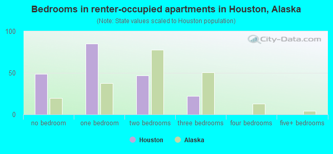 Bedrooms in renter-occupied apartments in Houston, Alaska