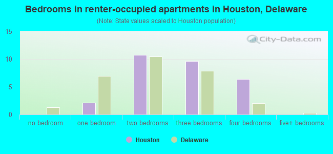 Bedrooms in renter-occupied apartments in Houston, Delaware