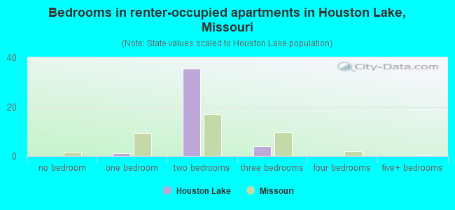 Bedrooms in renter-occupied apartments in Houston Lake, Missouri