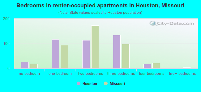 Bedrooms in renter-occupied apartments in Houston, Missouri