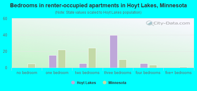 Bedrooms in renter-occupied apartments in Hoyt Lakes, Minnesota