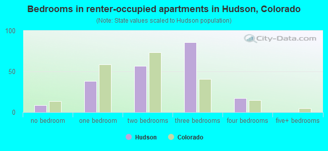 Bedrooms in renter-occupied apartments in Hudson, Colorado