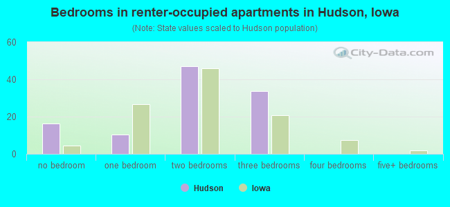Bedrooms in renter-occupied apartments in Hudson, Iowa