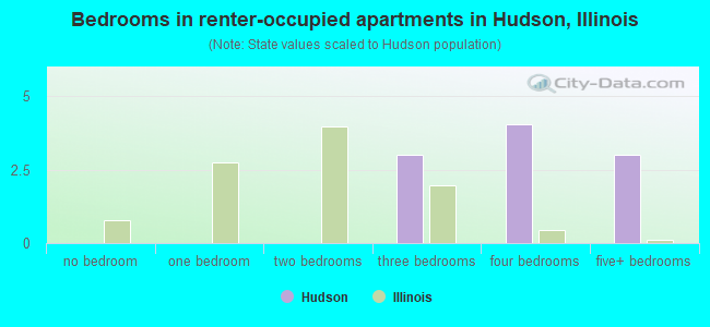 Bedrooms in renter-occupied apartments in Hudson, Illinois