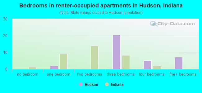 Bedrooms in renter-occupied apartments in Hudson, Indiana