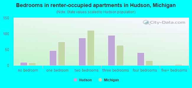 Bedrooms in renter-occupied apartments in Hudson, Michigan