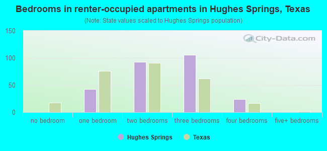 Bedrooms in renter-occupied apartments in Hughes Springs, Texas