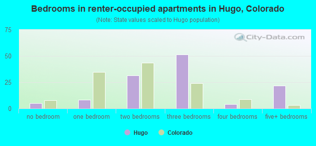 Bedrooms in renter-occupied apartments in Hugo, Colorado