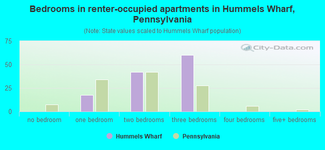 Bedrooms in renter-occupied apartments in Hummels Wharf, Pennsylvania