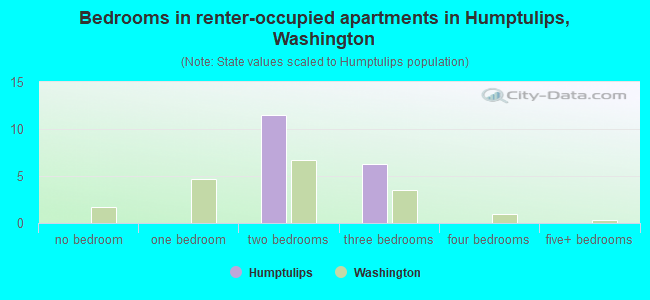Bedrooms in renter-occupied apartments in Humptulips, Washington